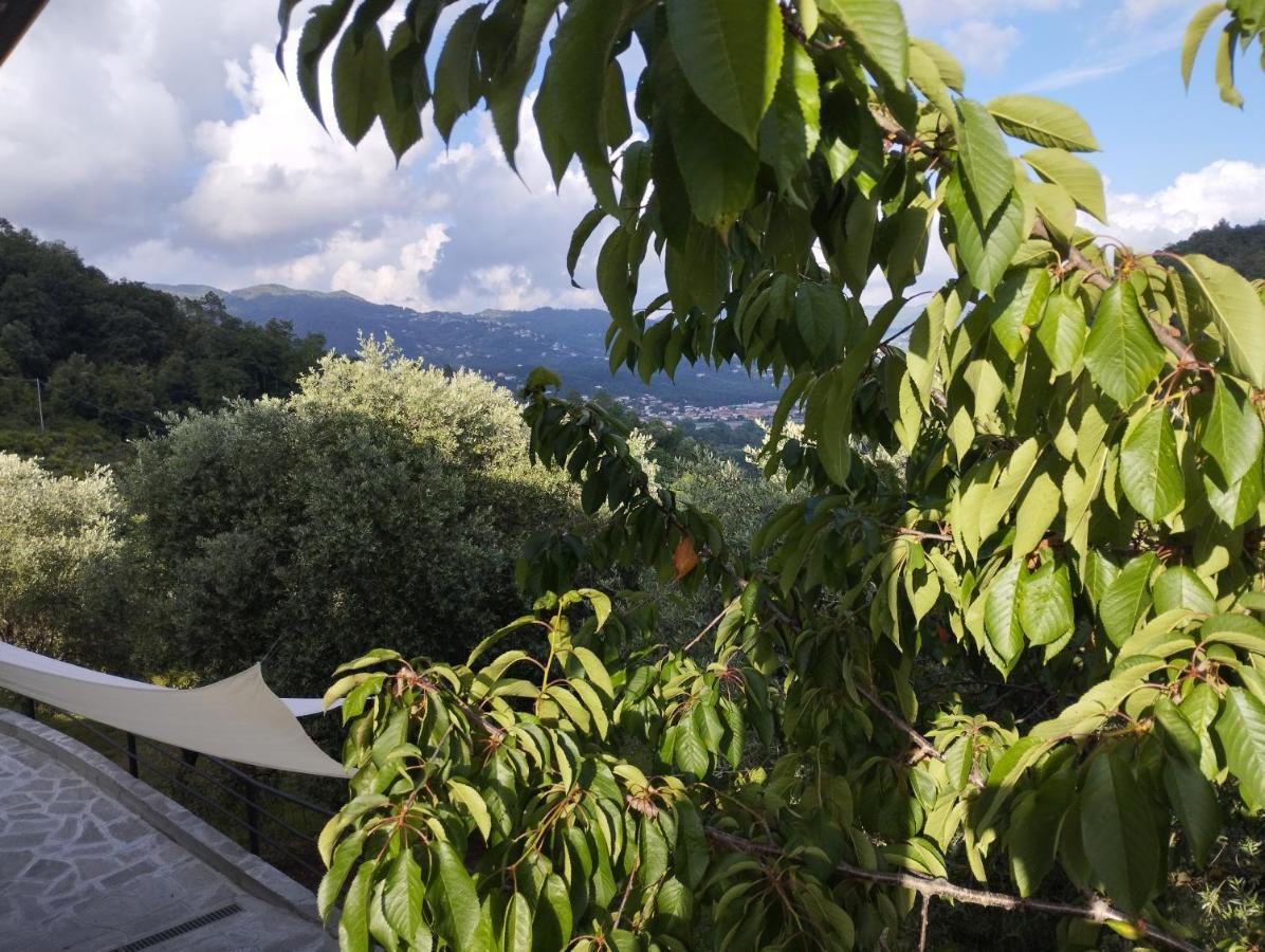 Villa Degli Ulivi Tivegna Exterior foto
