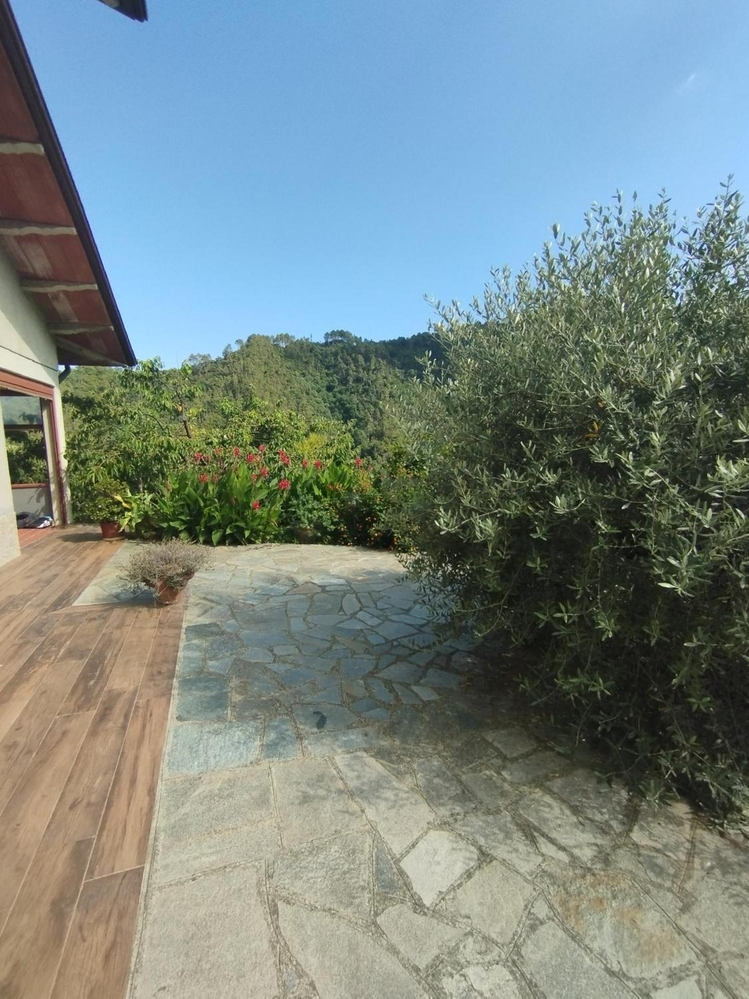 Villa Degli Ulivi Tivegna Exterior foto