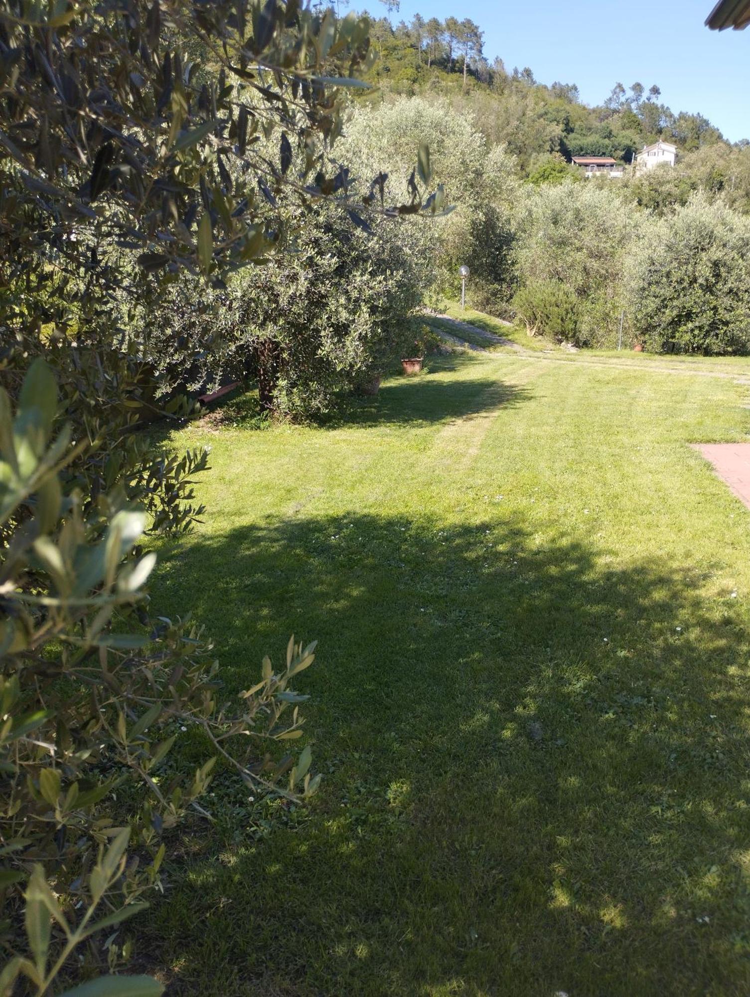 Villa Degli Ulivi Tivegna Exterior foto