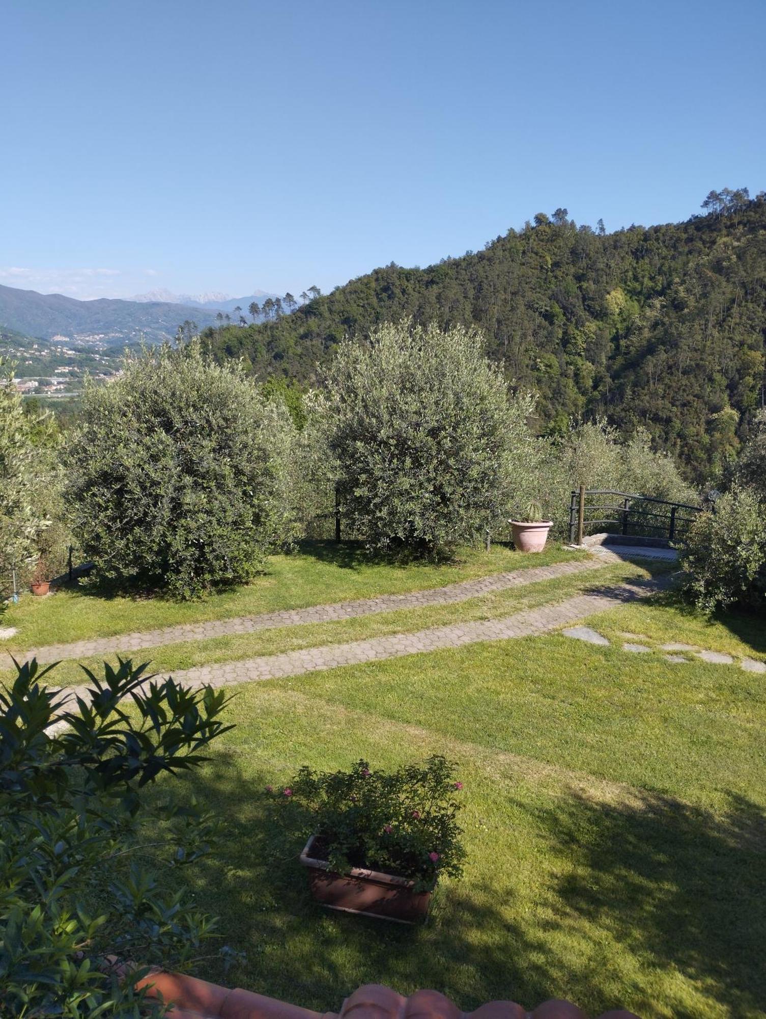 Villa Degli Ulivi Tivegna Exterior foto