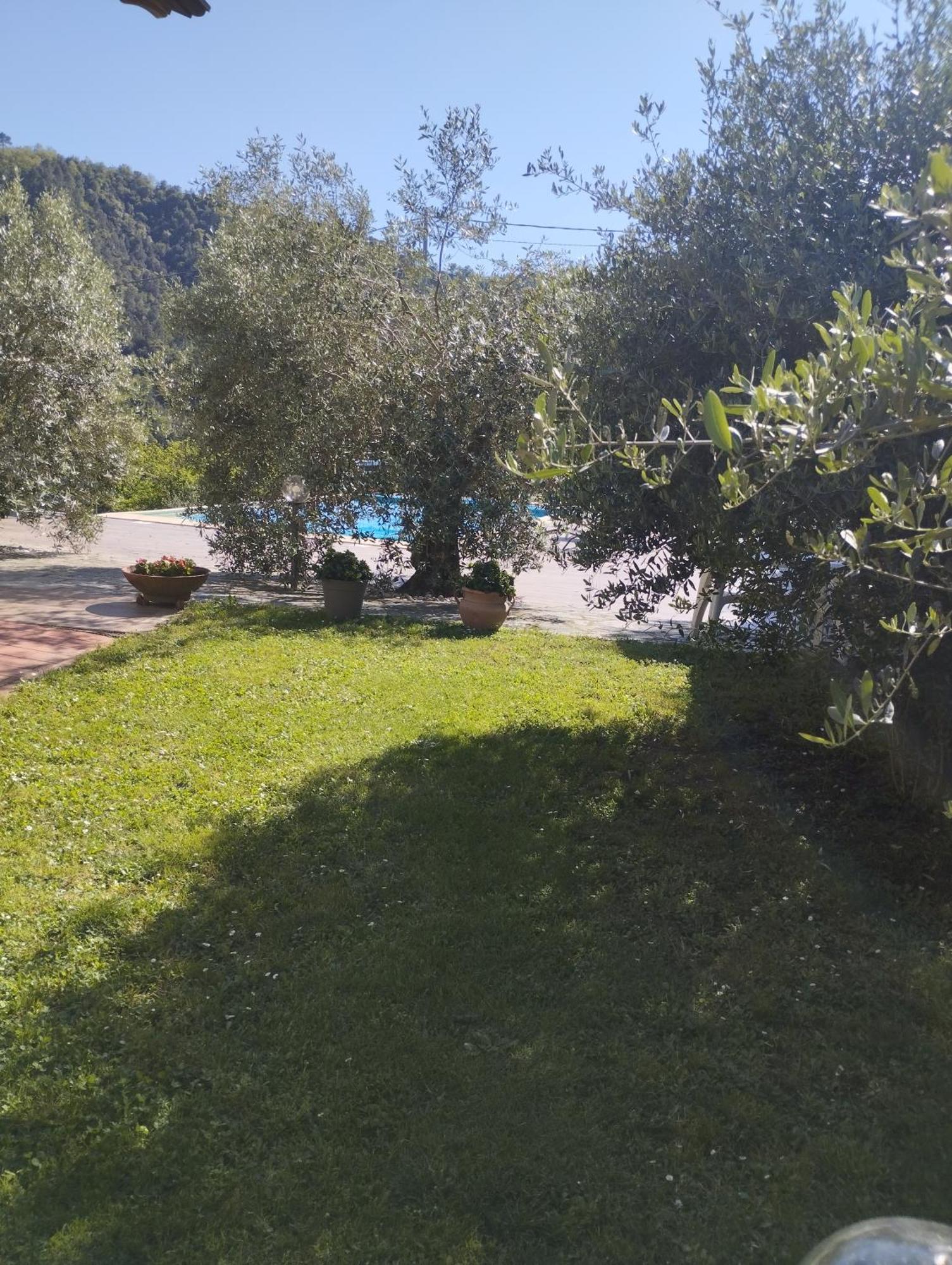 Villa Degli Ulivi Tivegna Exterior foto
